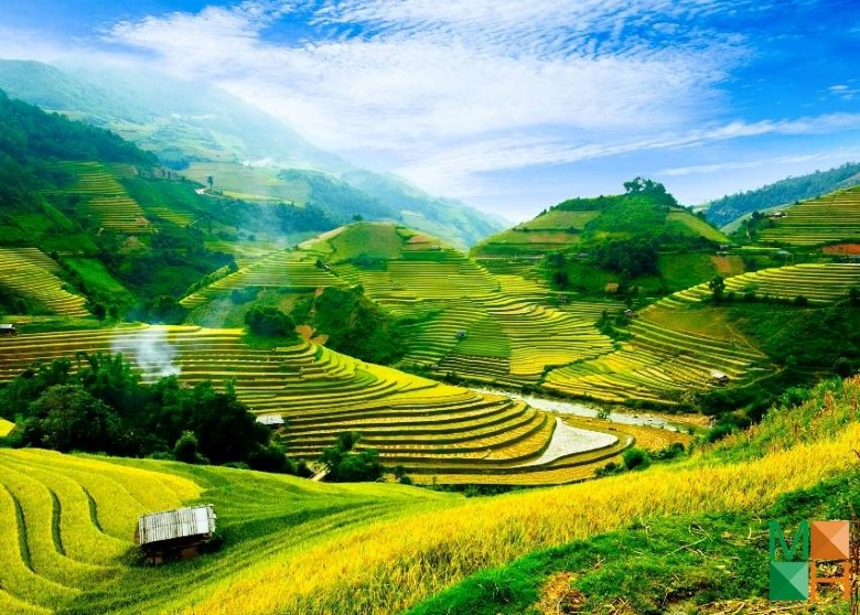 Tranh dán tường phòng khách đẹp tại Hà Nội NA - 389